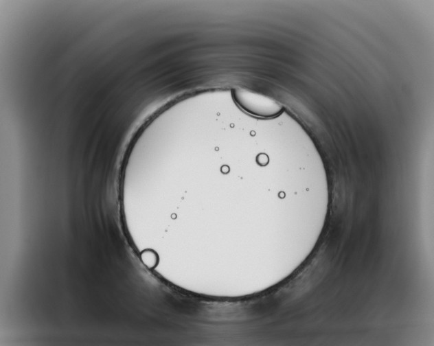 X0000088150800200705211155