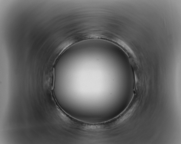 X0000088150801200705211155