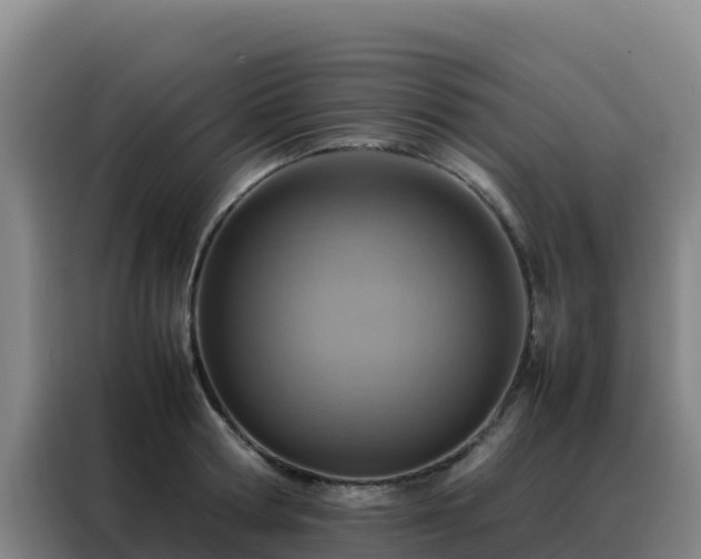 X0000088150802200705211155