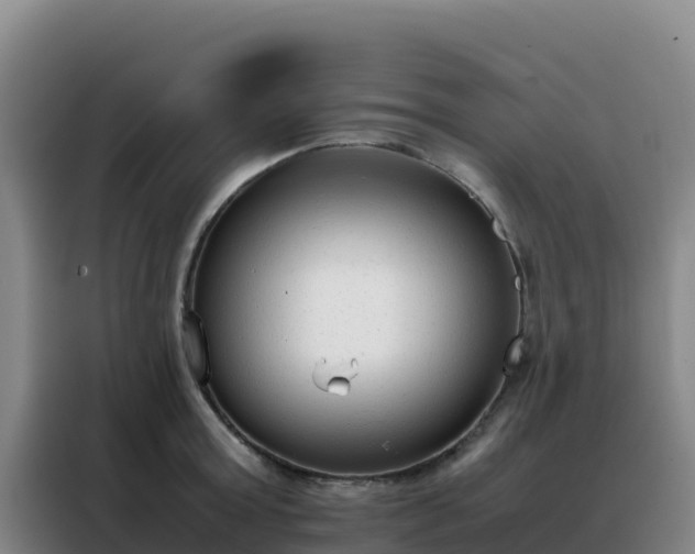 X0000088150803200705211155