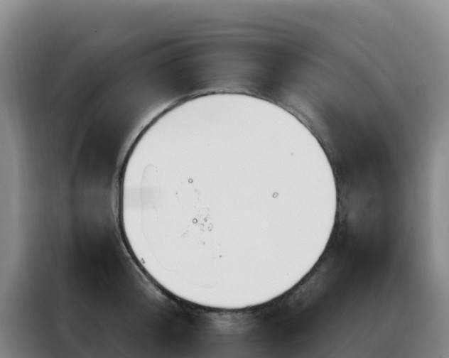 X0000088150804200705211155