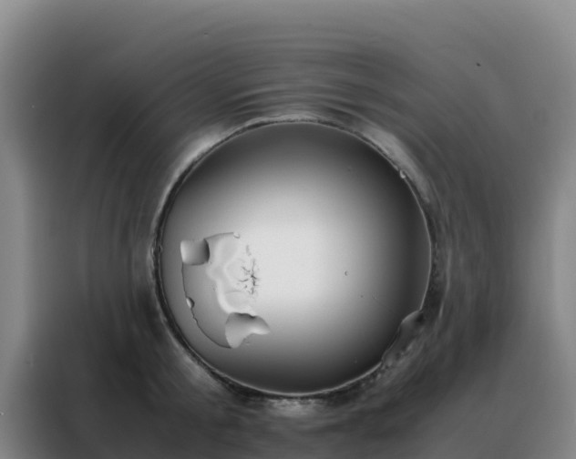 X0000088150805200705211155