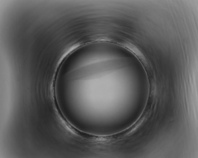 X0000088150806200705211155