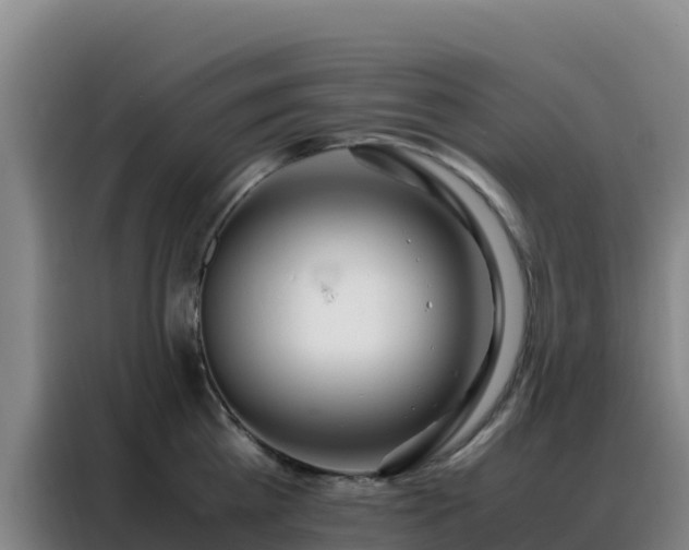 X0000088150809200705211155