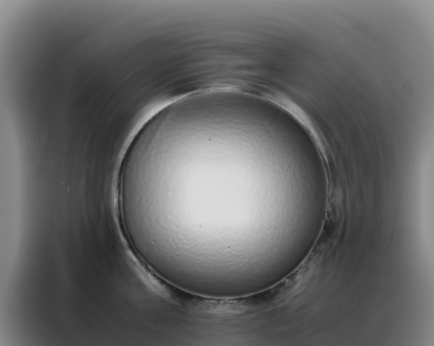 X0000088150811200705211155