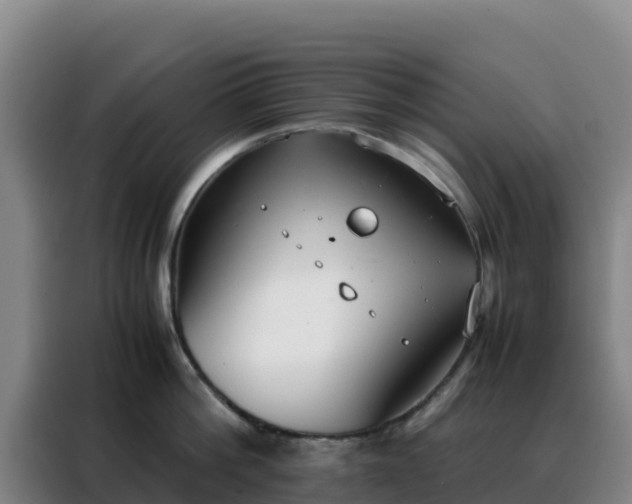 X0000088150812200705211155