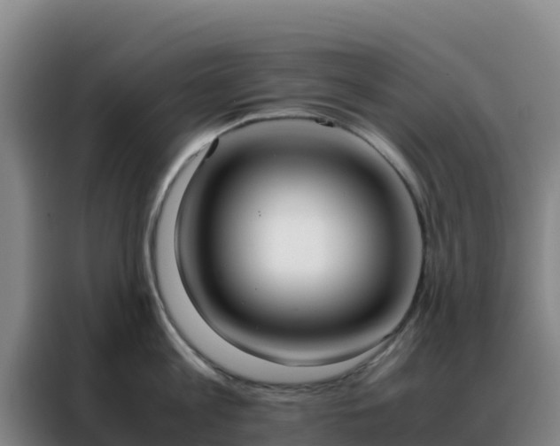 X0000088150813200705211155