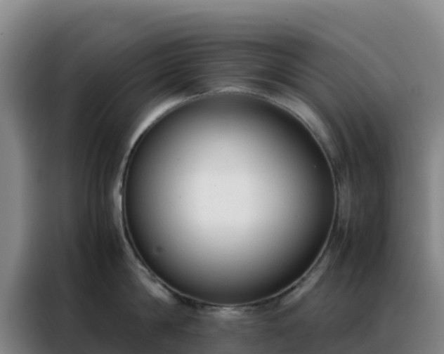 X0000088150814200705211155