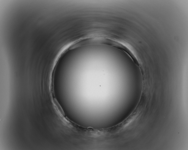 X0000088150815200705211155