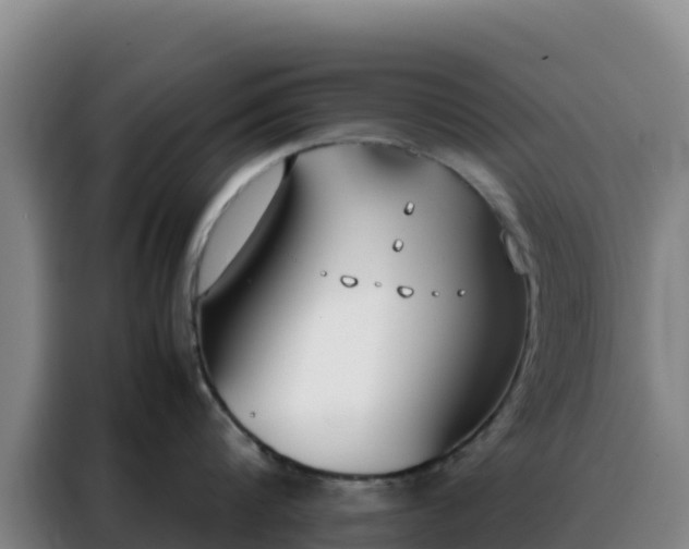 X0000088150816200705211155