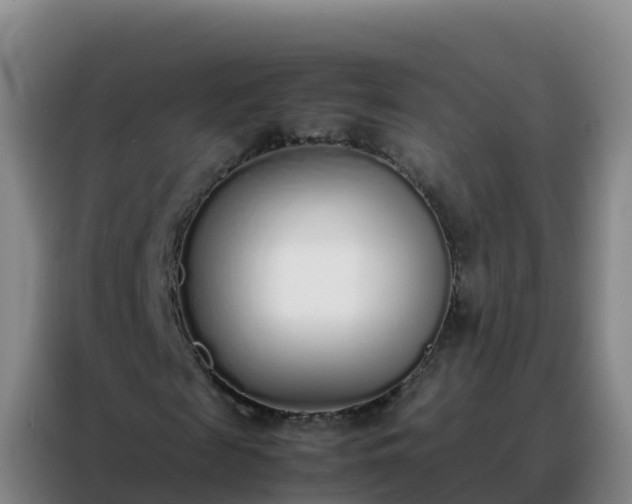 X0000088150817200705211154