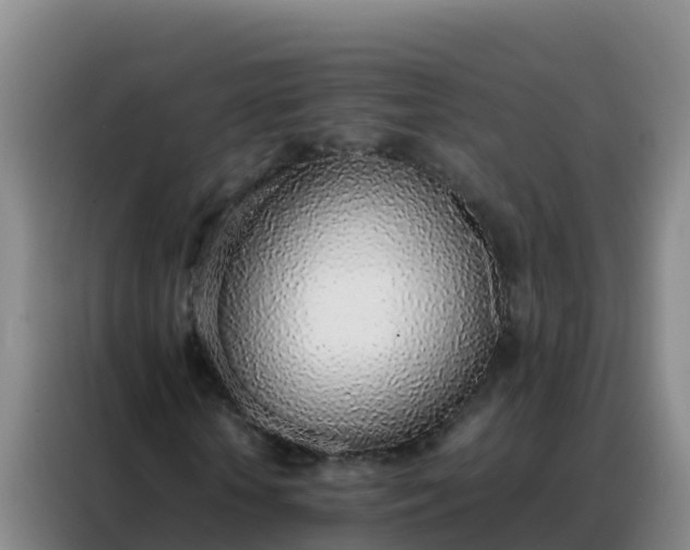 X0000088150818200705211154