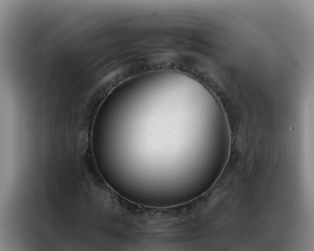 X0000088150821200705211154