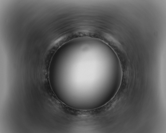 X0000088150822200705211154