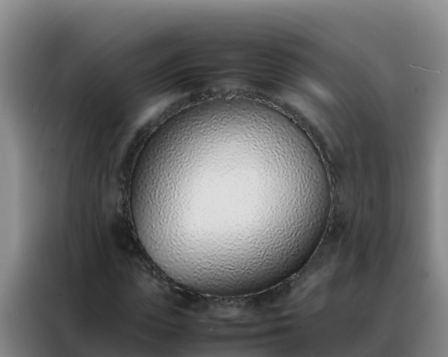 X0000088150823200705211154