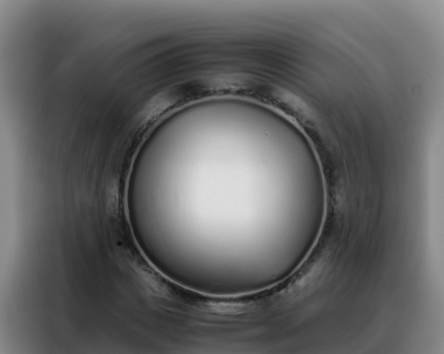 X0000088150825200705211154