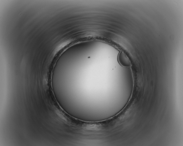 X0000088150826200705211154