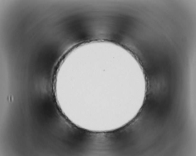 X0000088150828200705211154