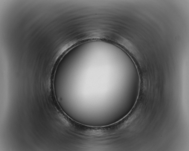 X0000088150834200705211154