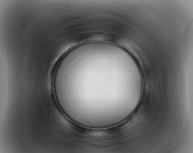 X0000088150835200705211154