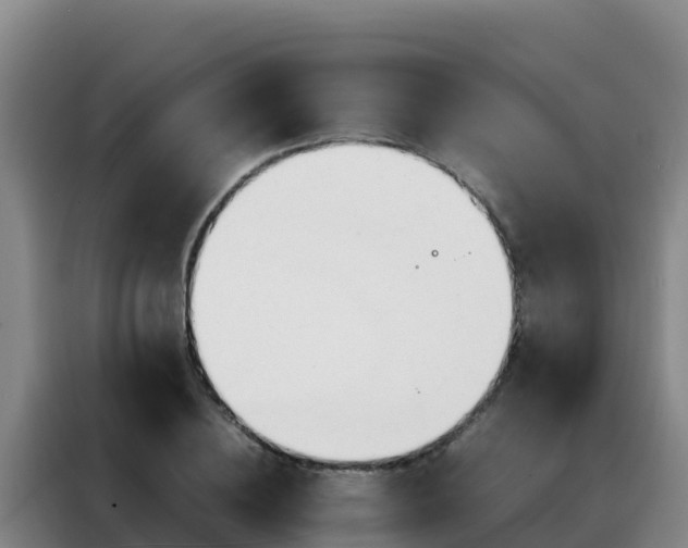 X0000088150836200705211154