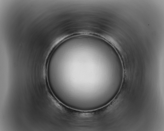 X0000088150839200705211154