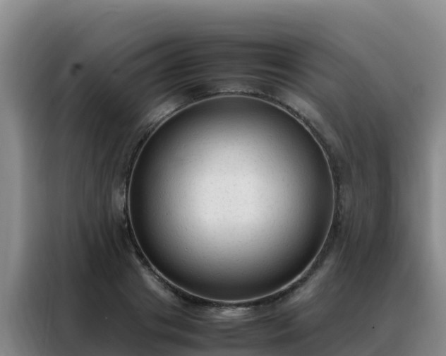 X0000088150841200705211154