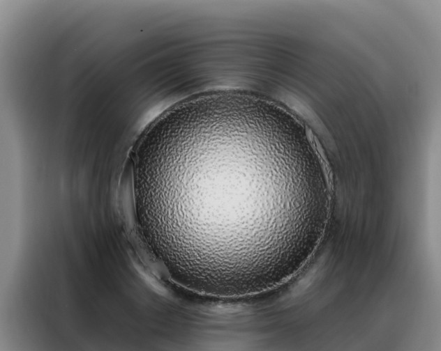 X0000088150842200705211154