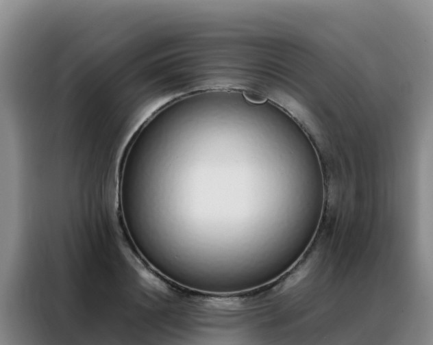 X0000088150844200705211154