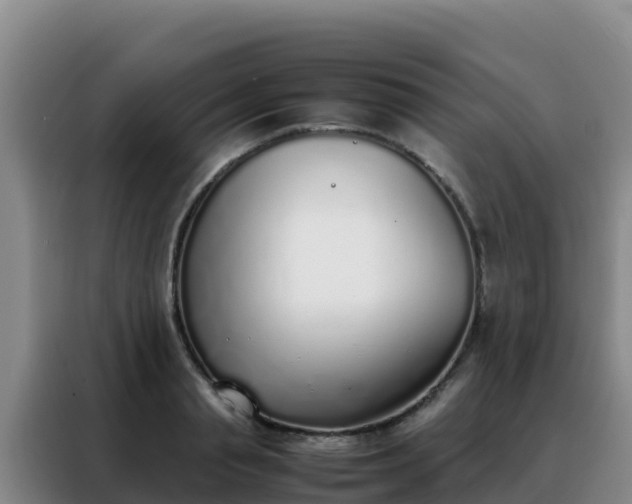 X0000088150845200705211154