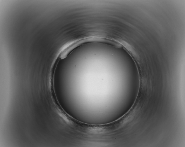 X0000088150846200705211154