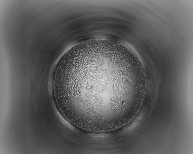 X0000088150851200705211154