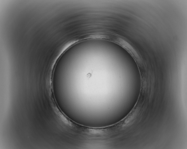 X0000088150852200705211154