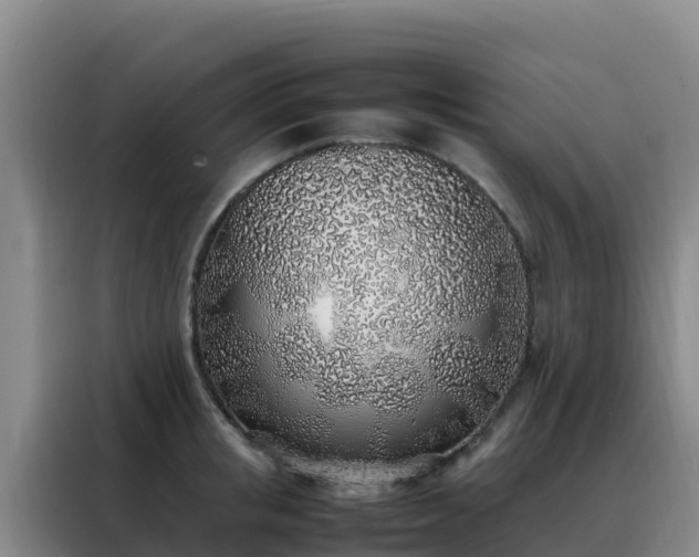 X0000088150853200705211154