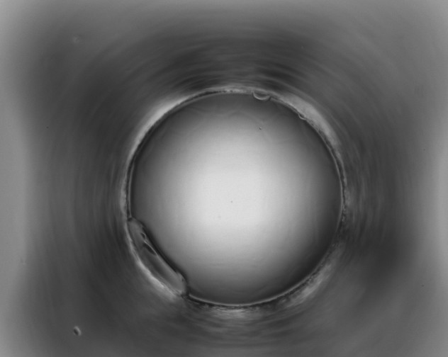 X0000088150855200705211154