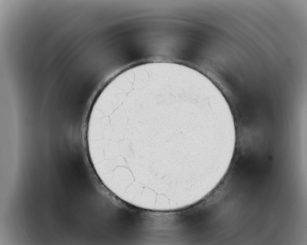 X0000088150856200705211154