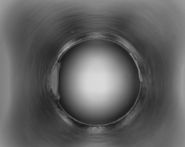 X0000088150858200705211154