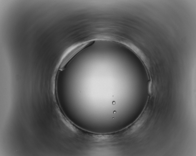 X0000088150862200705211154