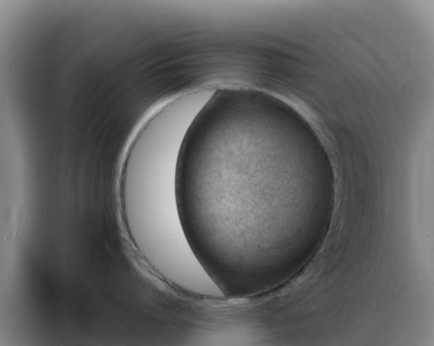 X0000088150864200705211155