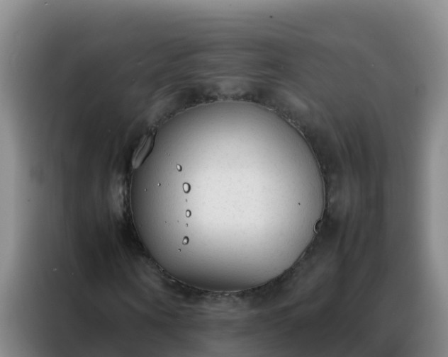 X0000088150866200705211154