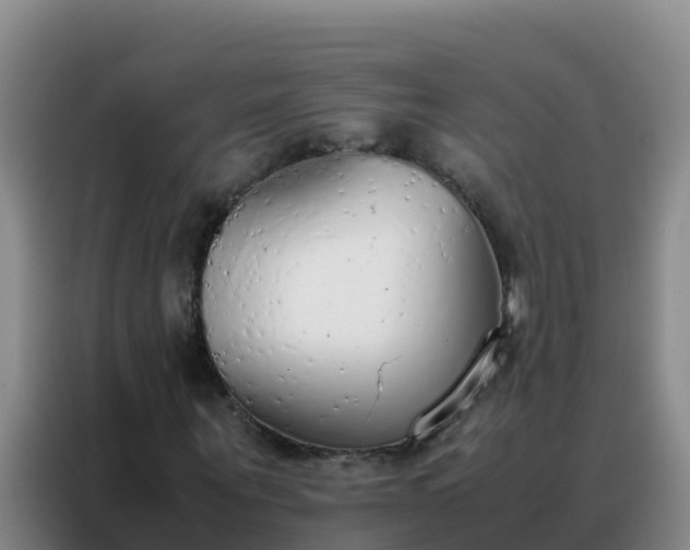 X0000088150867200705211154