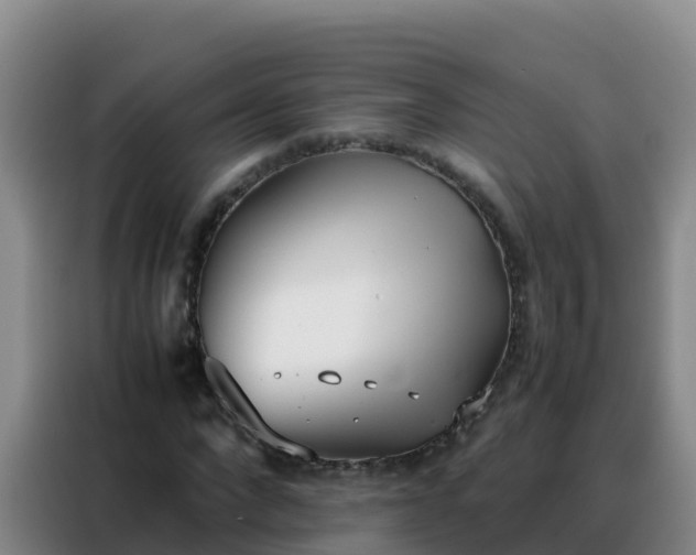 X0000088150872200705211154