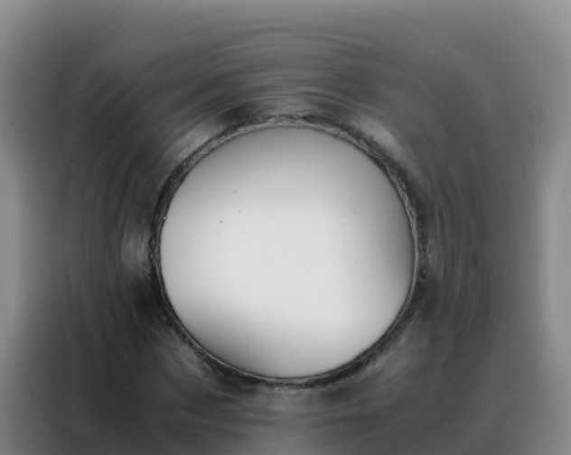 X0000088150873200705211154