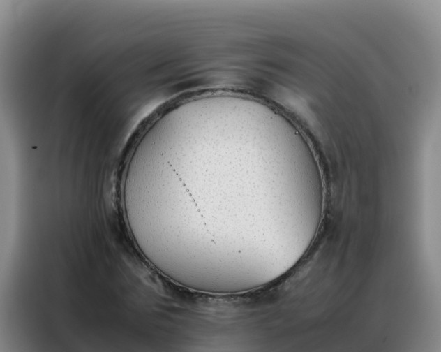 X0000088150875200705211154