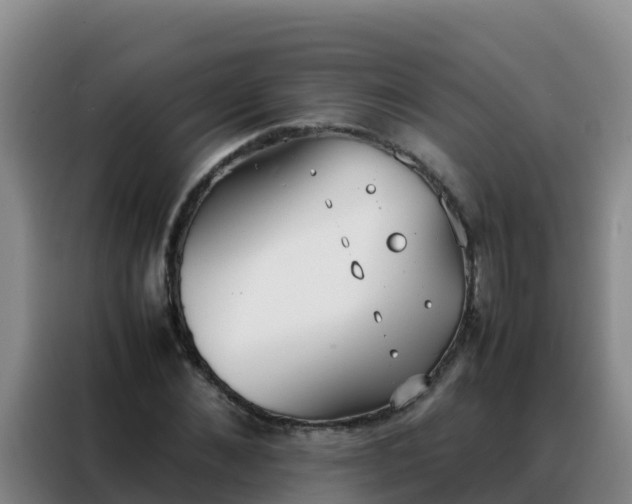 X0000088150876200705211154