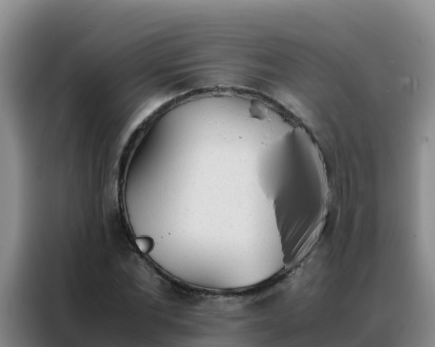 X0000088150877200705211154