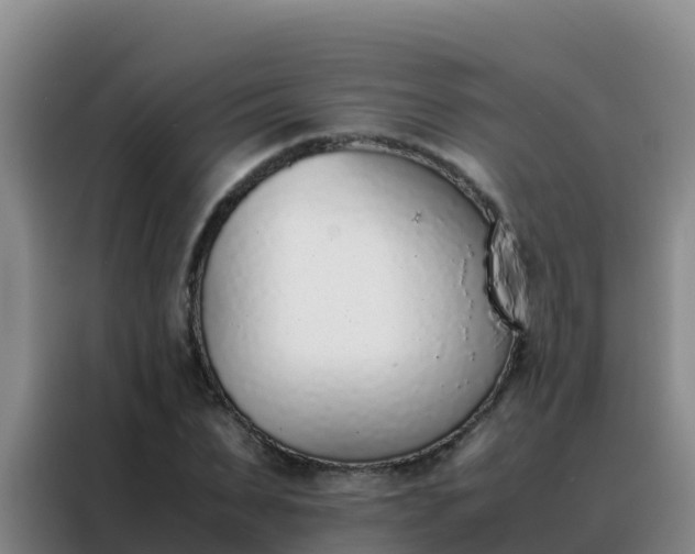 X0000088150879200705211154