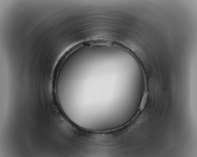 X0000088150880200705211154