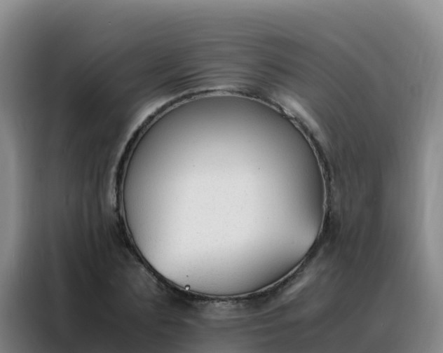 X0000088150883200705211154