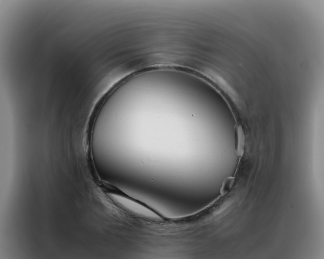 X0000088150885200705211154